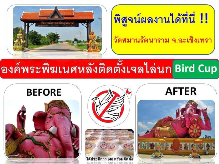 ผลิตภัณฑ์ไล่นกพิราบ Bird Cup